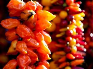 如何挑選到最辣的辣椒?什么樣的辣椒最辣