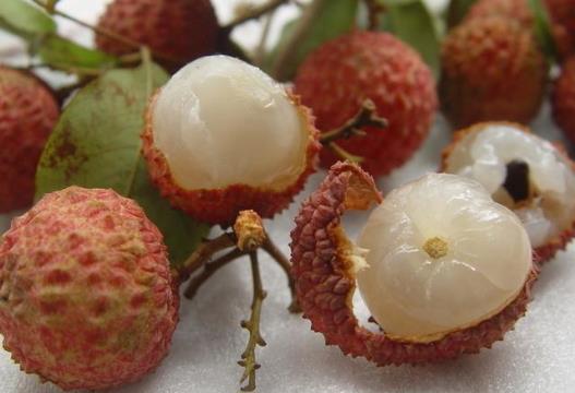 ��������xُ���r��֦���������x��֦��С����