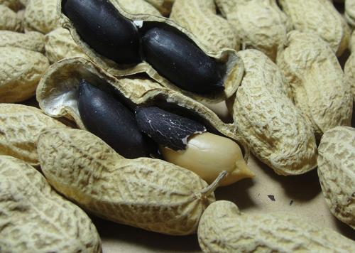 ��Ƥ������Ķ���Ⱦɫ�Ć᣿�����R�eȾɫ�ڻ���