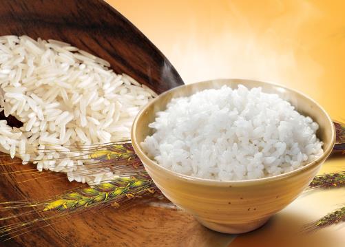 �����ô���ó������׌���׃����