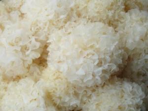 如何鑒別銀耳的質(zhì)量?怎樣挑選優(yōu)質(zhì)的銀耳