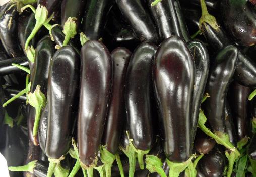 如何挑選新鮮茄子?茄子的挑選方法