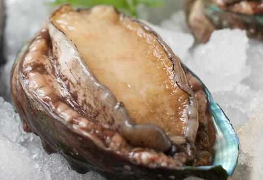 如何挑選優(yōu)質(zhì)鮑魚?鮑魚的挑選方法