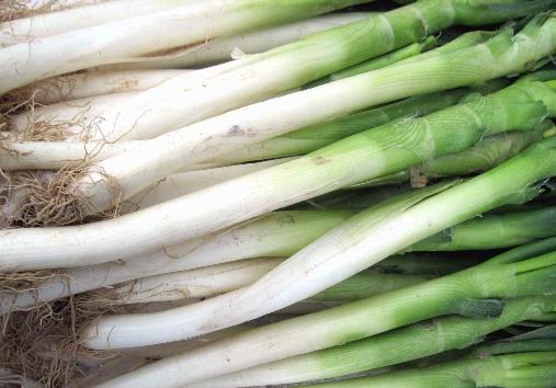 �������Ӄ�����[�����[�ă��淽��