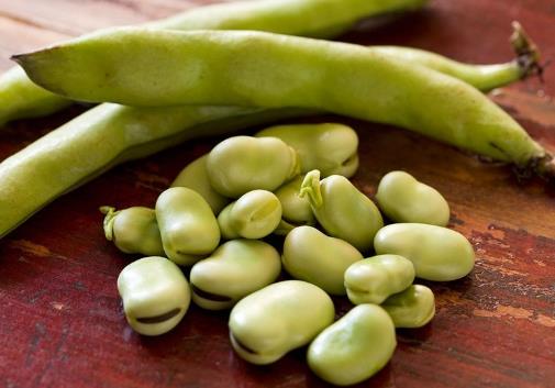 �Q����ô���ó����Q���������