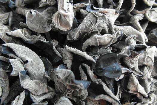 ��ľ�����ß�ˮ�݆�����ˮ�ݸ�ľ���Æ�