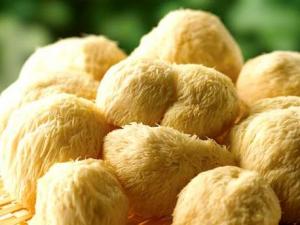 如何泡發猴頭菇？猴頭菇的泡發小竅門