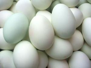 如何辨別真假鴨蛋?識別假鴨蛋的方法