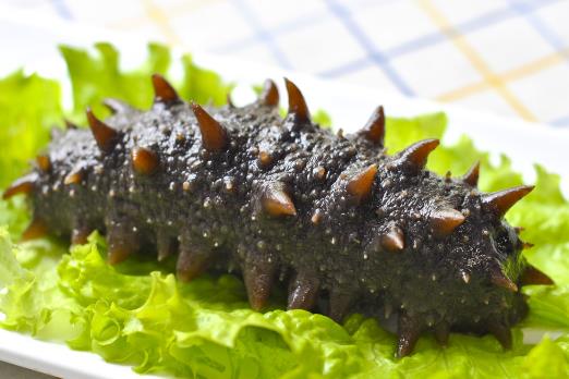 �����R�e������٣���α�e�����ĺÉ�