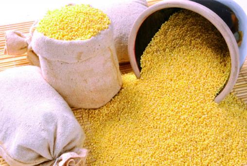 怎么鑒別小米的真假?如何識別染色小米