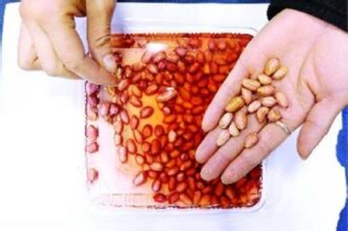 ����b�eȾɫ�����ף������R�e��ٻ�����