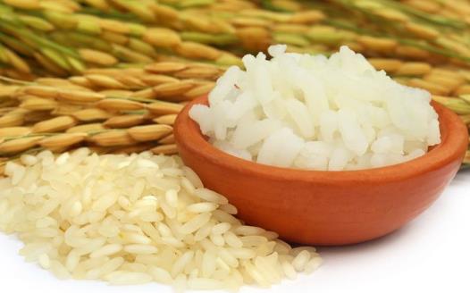 大米生蟲了怎么辦 教你幾個驅蟲的生活小竅門