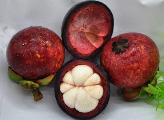 山竹里面黃黃的是什么 山竹里面黃黃的能吃嗎 山竹果肉發黃有毒嗎