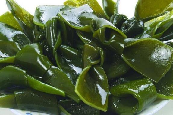 ������Y��ʲôԭ�� ������ʲô��Y ��������ʲô����