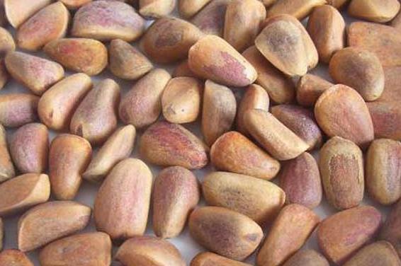 生松子怎么炒開口?松子開口方法鑒別(吃松子好處和禁忌)