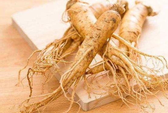 人參須越長越好嗎?鮮人參怎樣保存最好?