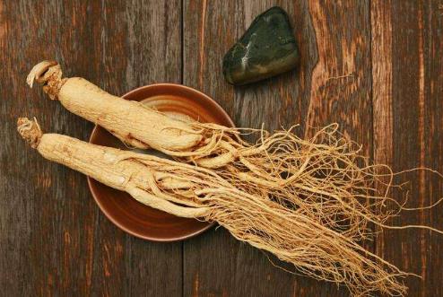 人參須越長越好嗎?鮮人參怎樣保存最好?