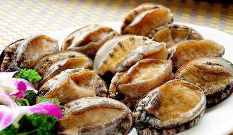 鮑魚要冷凍還是冷藏?鮑魚是頭多好還是頭少好?