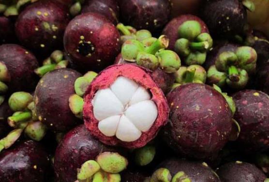 山竹如何剝皮?圖解剝山竹的方法和竅門 山竹怎么挑選和保存保鮮