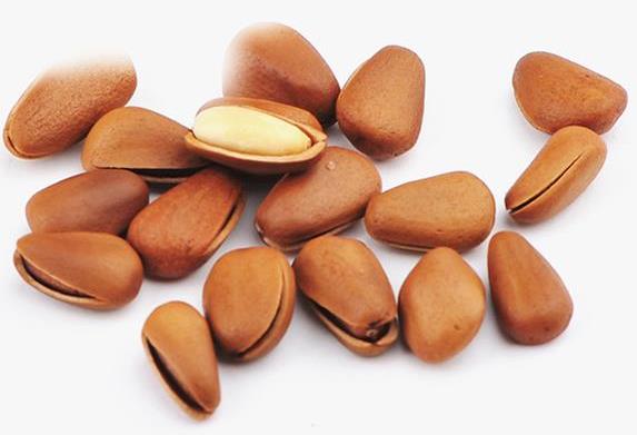 生松子怎么炒開口?松子開口方法鑒別(吃松子好處和禁忌)