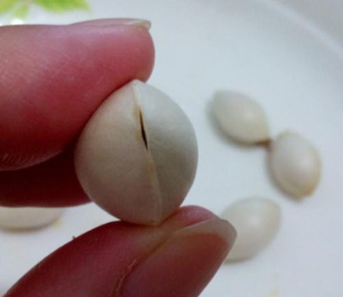 ��΢���t�o�׹�ȥ�����E�D�⣺1��犰׹�ȥ���⚤��2