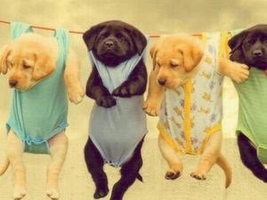 霧霾天能曬衣服嗎？霧霾天注意事項