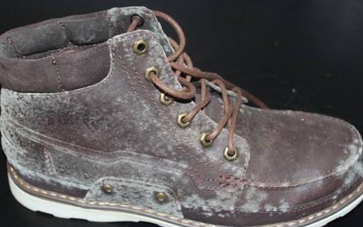 如何預防皮鞋發霉?皮鞋發霉了該怎么辦?