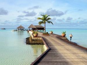 出國旅游需要什么手續？旅游簽證辦理流程