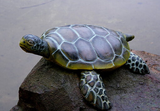 �����۾������_��ô�k�������۾������_��ô����