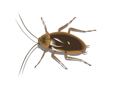 ���ҧ���ж��᣿�����ô���磿