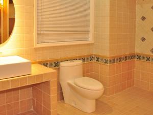 潔廁劑怎么選?使用潔廁劑的注意事項