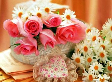 ��β廨���廨���ɣ��廨�Ę��D����