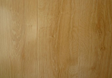 ľ�|�ذ���α��B�����oľ�ذ呪ע��6�����