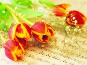 ʲô������ʲô���ã����Z�c�Ї��ͶY�û�����