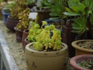 ��ͥ�Bֲ��a�ʵĲ�������Щ��������Ƽ����B������