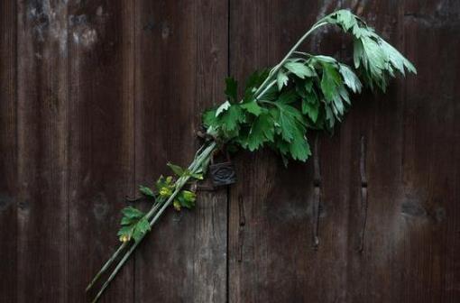 端午掛艾草是干什么用的?端午節什么時候掛艾草最合適?