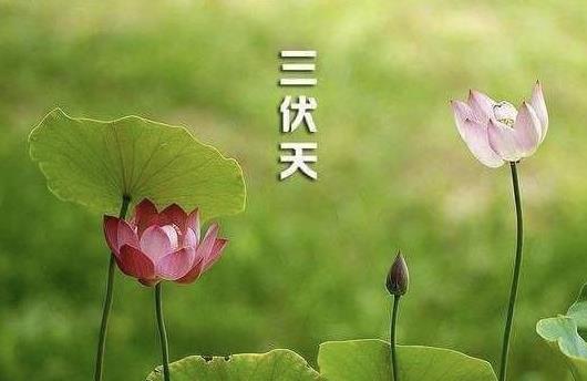 2021年三伏天時間表是怎樣的?2021年三伏天總共40天嗎?