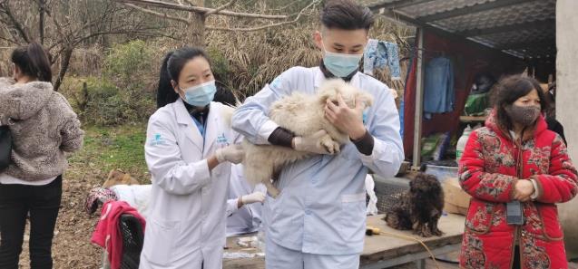 杭州瑞派虹泰,一家26年歷史的靠譜杭州寵物醫院收費是怎樣的