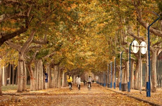 疫情期間開學前要注意什么?開學前出省游玩學校會知道嗎?