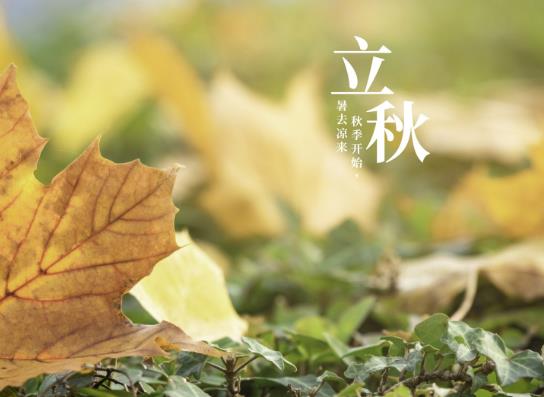 東北立秋后雨水多不多?東北立秋后氣溫大約多少度?