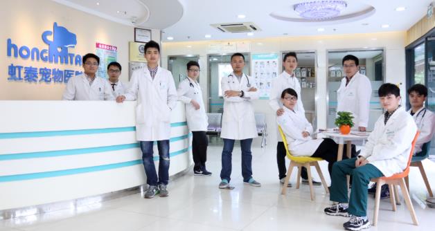 杭州靠譜的虹泰寵物醫(yī)院為愛(ài)寵開(kāi)辟生命通道
