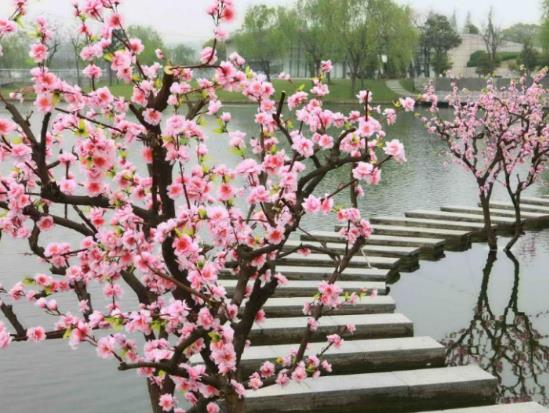 2022年桃花運(yùn)最旺生肖排名,虎年桃花運(yùn)遇到真愛生肖