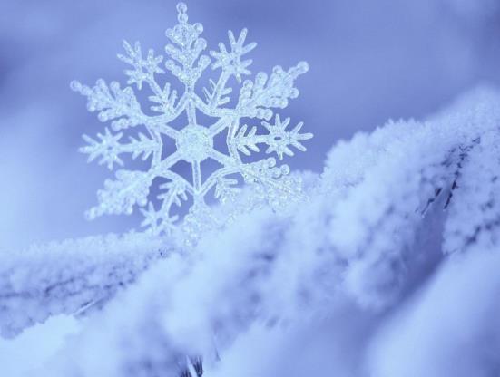 臘月把衣服晾外面會有霜嗎?臘月是一年中的幾月?