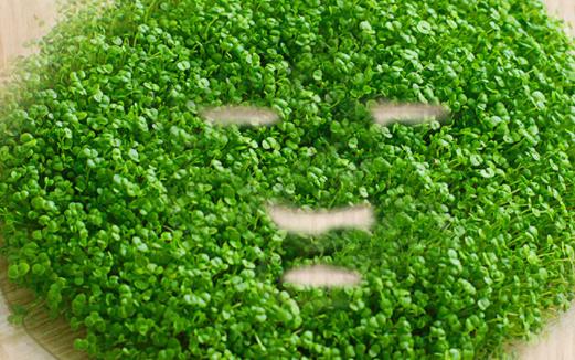 海藻面膜用什么水調 海藻面膜會過敏嗎