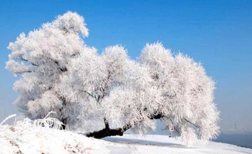 2022年三九天從什么時候開始 三九天喝什么湯好