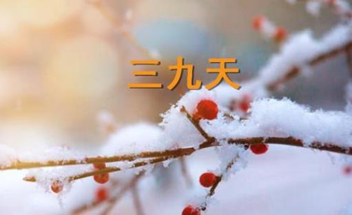 2022年三九天從什么時候開始 三九天喝什么湯好