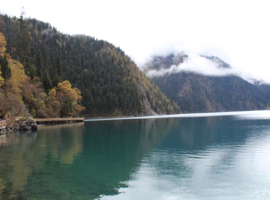 行程卡可以查出來去了哪個公共場所嗎?行程卡能精確到每天嗎