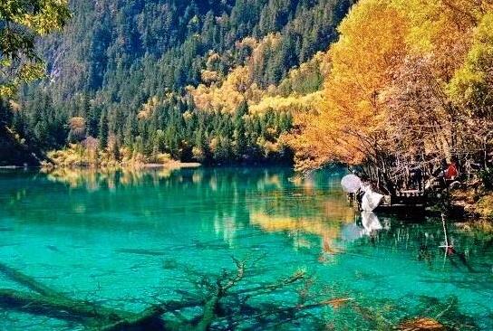 行程卡可以兩個手機號關(guān)聯(lián)嗎?行程卡我有2個手機號都會顯示嗎