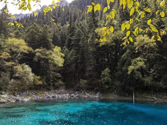 別人能查看我的行程卡嗎?行程卡是綠的就可以通過了嗎?