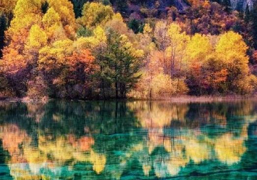 不開(kāi)機(jī)行程卡會(huì)有記錄嗎?行程卡能添加別人嗎